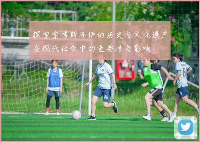 探索索博斯洛伊的历史与文化遗产在现代社会中的重要性与影响